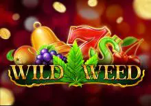 Wild Weed - Spin City - Congo